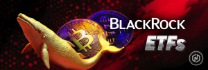 Why Are More Bitcoin Whales Starting to Swap Bitcoin for IBIT Why Are More Bitcoin Whales Starting to Swap Bitcoin for IBIT