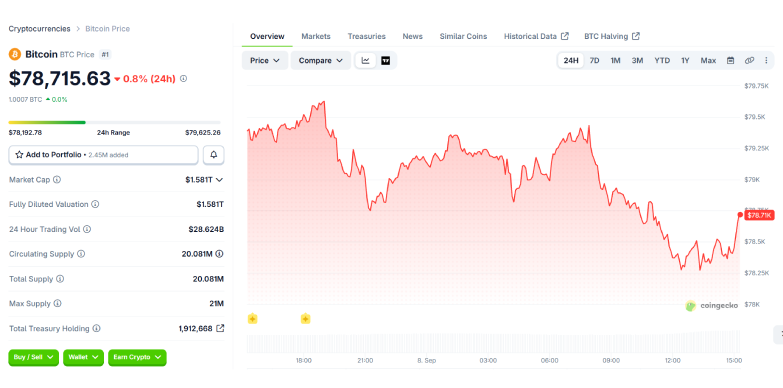 BTC 24-hours chart BTC 24-hours chart