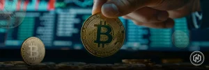 Bitcoin Short-Term Holders Stay In Profit For Nearly A Month, CryptoQuant Says Bitcoin Short-Term Holders Stay In Profit For Nearly A Month, CryptoQuant Says
