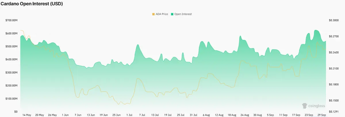 Cardano Open Interest Cardano Open Interest