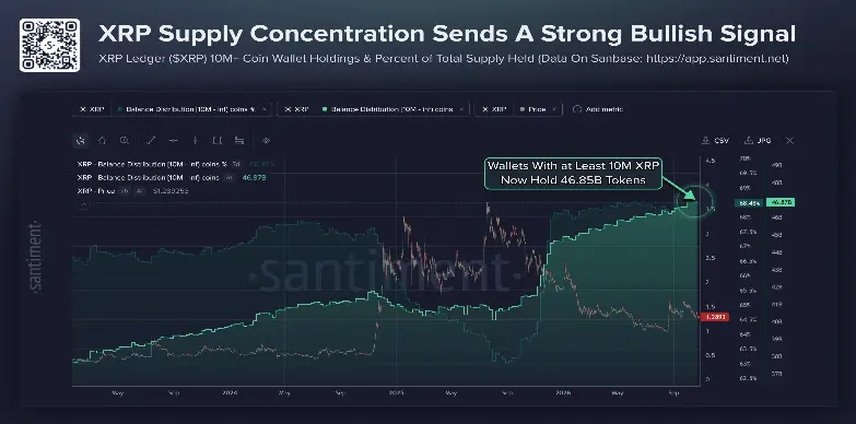 Whale Holding | Santiment Whale Holding