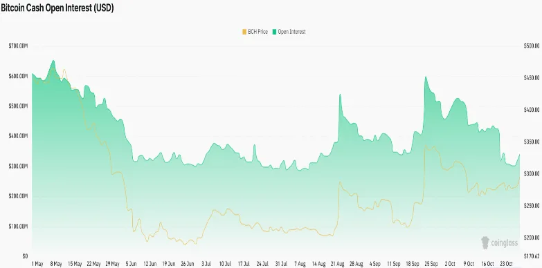 Bitcoin Cash Open Interest Bitcoin Cash Open Interest